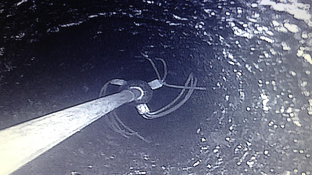 Chimney flue after blockage removal